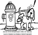 funny-picture-3210