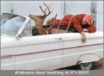 funny-picture-2572