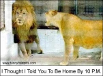 funny-picture-5322