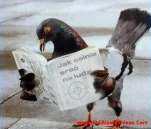funny-picture-3662