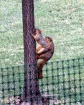 funny-picture-5244