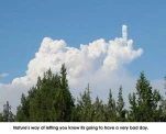 funny-picture-4661