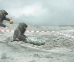 funny-picture-794