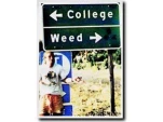funny-picture-2926