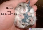 funny-picture-4106