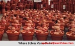 funny-picture-4309