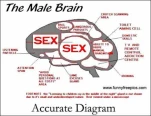 funny-picture-4410