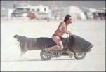 funny-picture-344