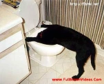 funny-picture-3118