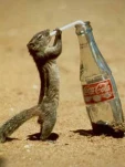 THIRSTY