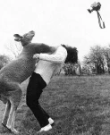 funny-picture-2599
