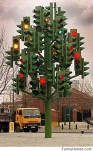funny-picture-4190
