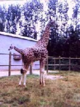 funny-picture-852