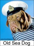 funny-picture-2415