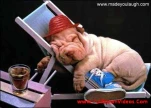 funny-picture-2637