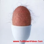 funny-picture-2543