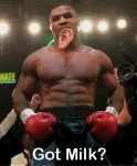 funny-picture-2679