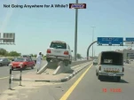funny-picture-4433
