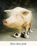 funny-picture-3833