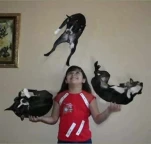 funny-picture-4059