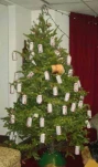 funny-picture-4248