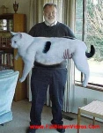 funny-picture-2586
