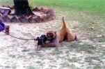 funny-picture-5379