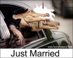 funny-picture-5135