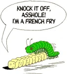 funny-picture-3868