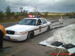 funny-picture-5245