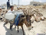 funny-picture-2790