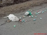 funny-picture-2334