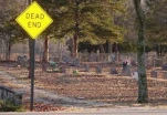 funny-picture-4542