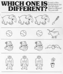 funny-picture-660