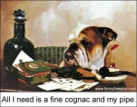 funny-picture-1604