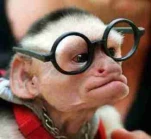 funny-picture-1097