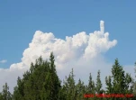 funny-picture-59