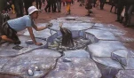 funny-picture-2827