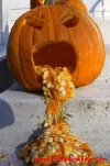 funny-picture-972
