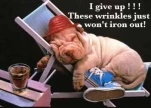 funny-picture-728