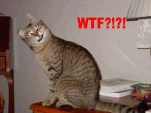 funny-picture-2043