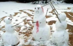 funny-picture-1557