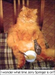funny-picture-1184
