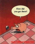 funny-picture-4221