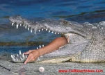 funny-picture-2798