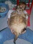 funny-picture-4204