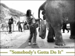 funny-picture-2455