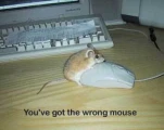 funny-picture-837