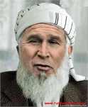 funny-picture-1165