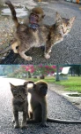 funny-picture-4021